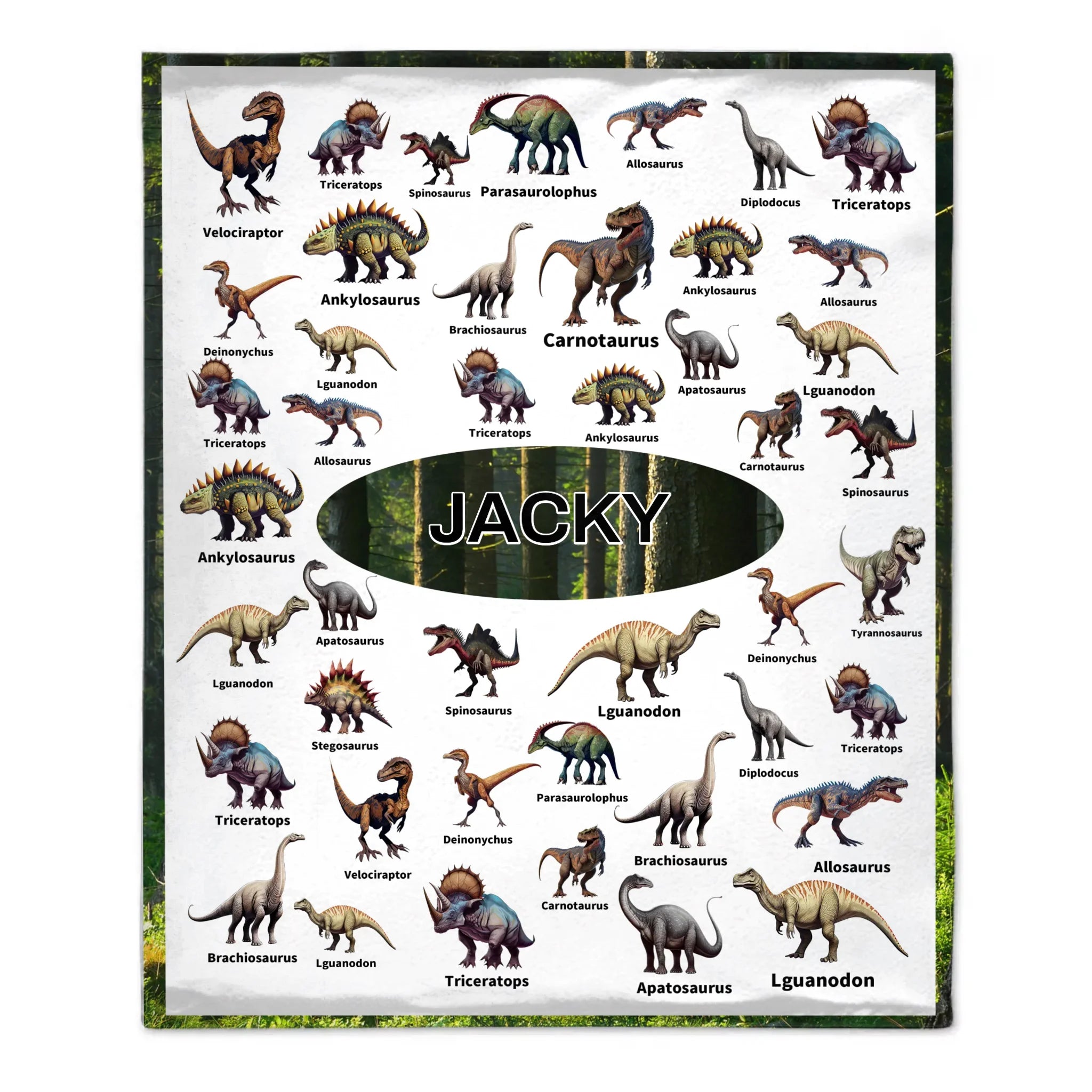 Personalized Jurassic Dinosaur Name Custom Blanket-Gift for Children Who Love Dinosaurs,ChristmasGift