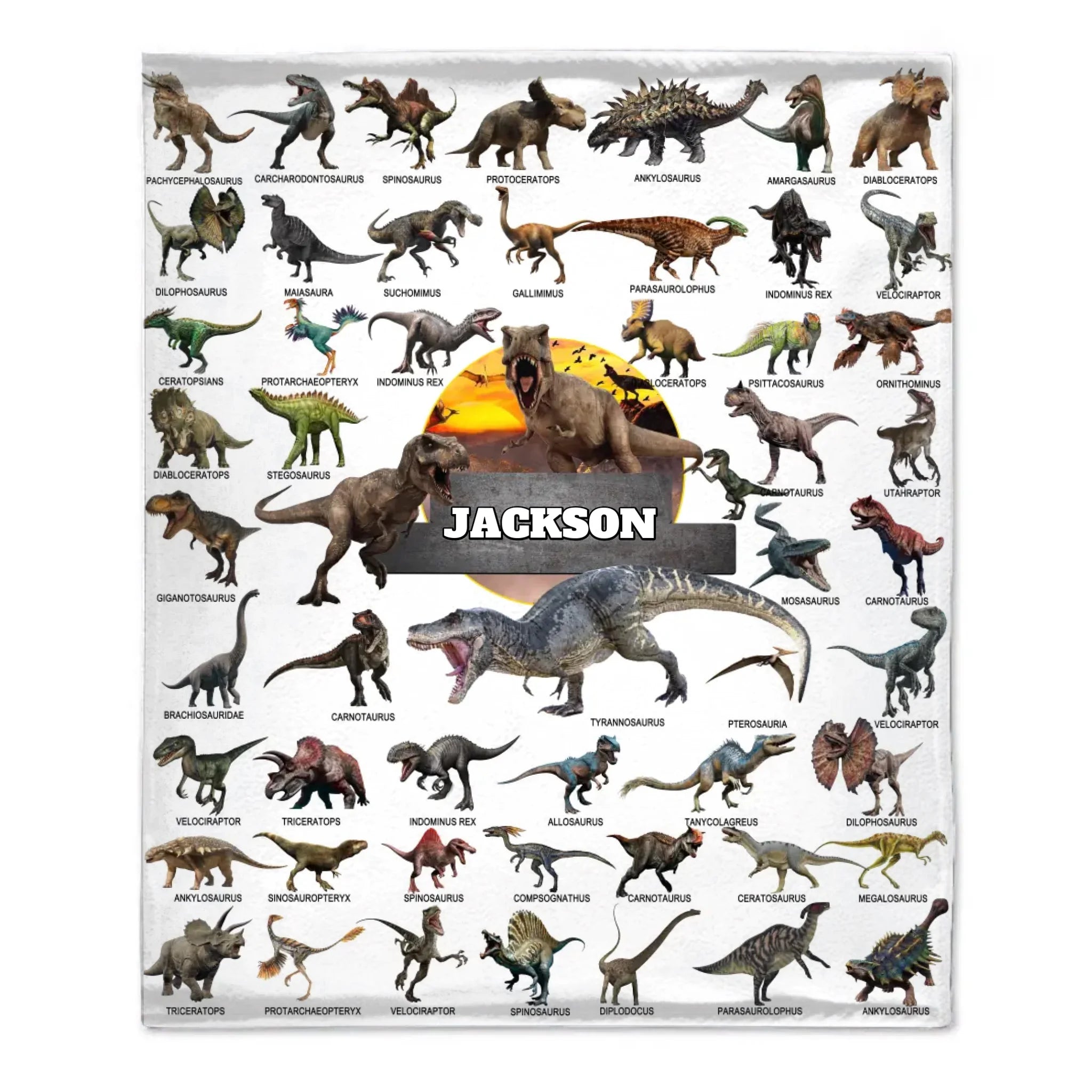 Jurassic Dinosaur Name Customized Blanket - Gift for Boys